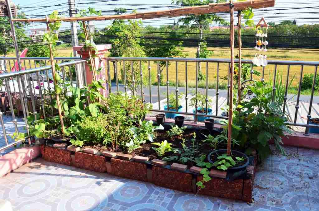 garden bed on terrace, small space urban gardening