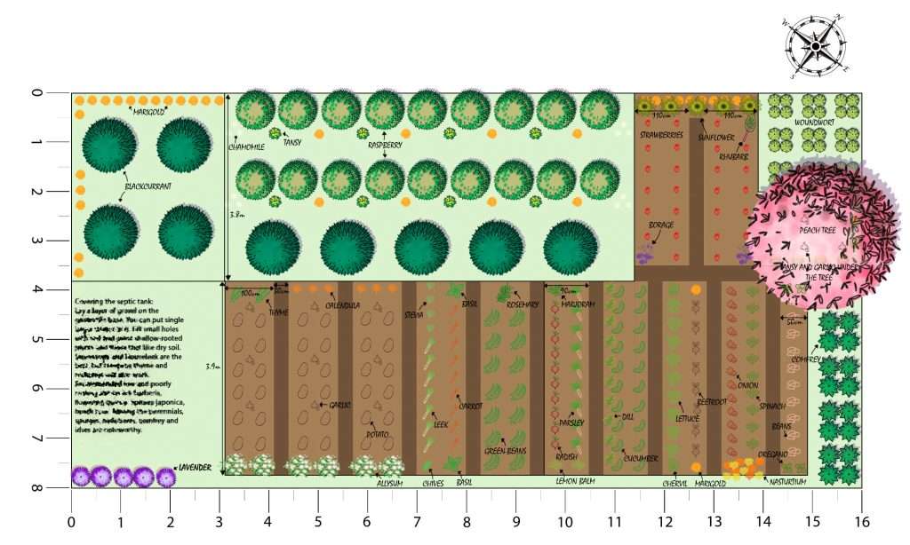 Small vegetable garden deign, better yields, biodiversity, companion planting, small allotment