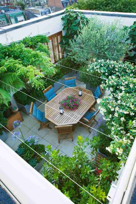 terrace full of plants