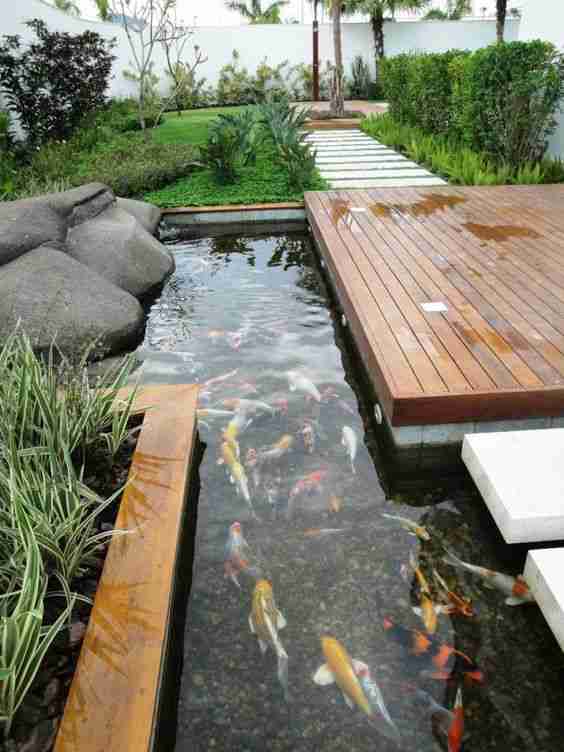 Fish pond next to terrace