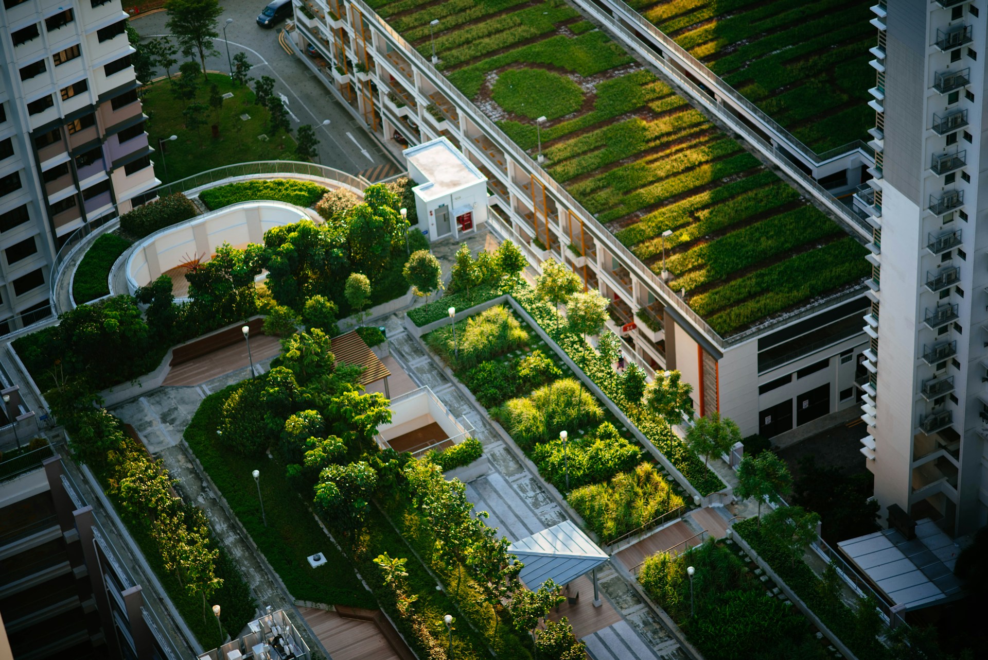 rooftop gardens, urban permaculture, urban gardens, city garden